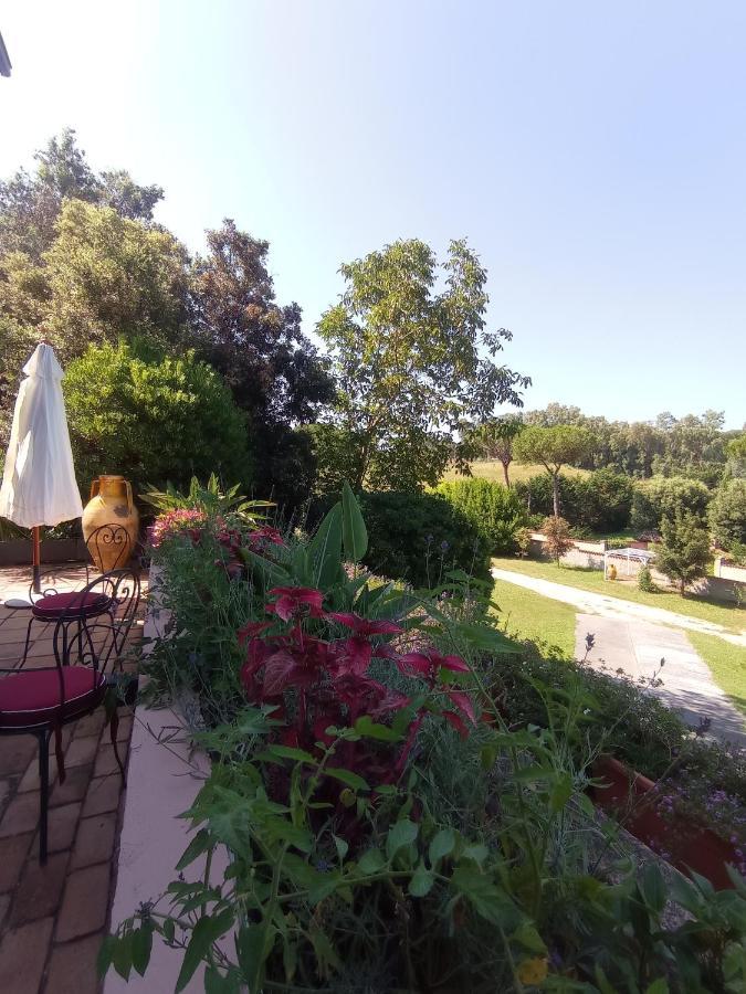 The Olive Grove Villa Rome
